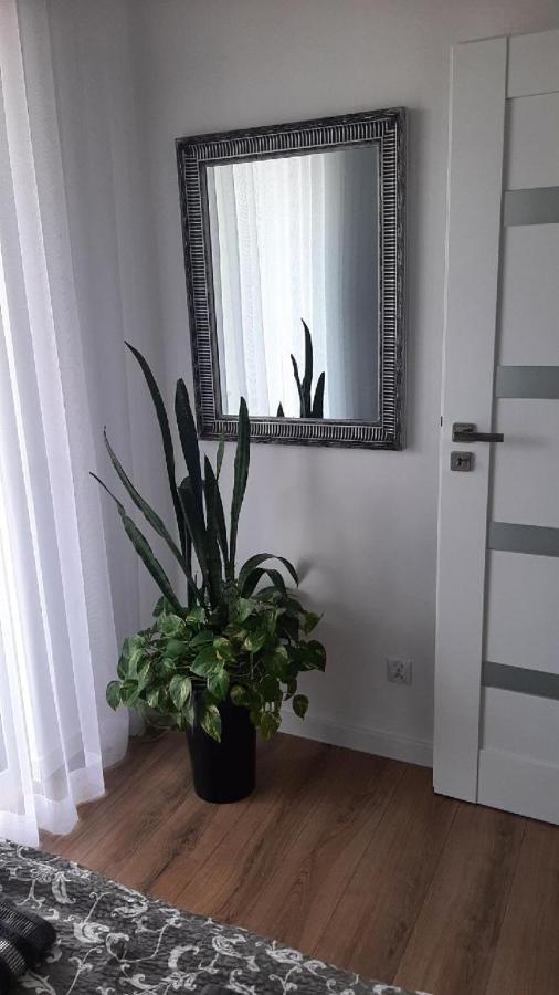 Apartament Z Widokiem Łańcut 外观 照片